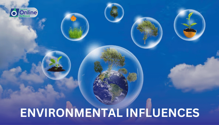 Lesson 04: The Dynamics of Transpiration: Environmental Influences